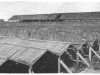 The Alsip Construction of Drying Sheds with Swinging Roof