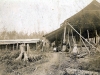 Racks and Kiln Sheds at Jagger Brickyard in Wrenshall, MN