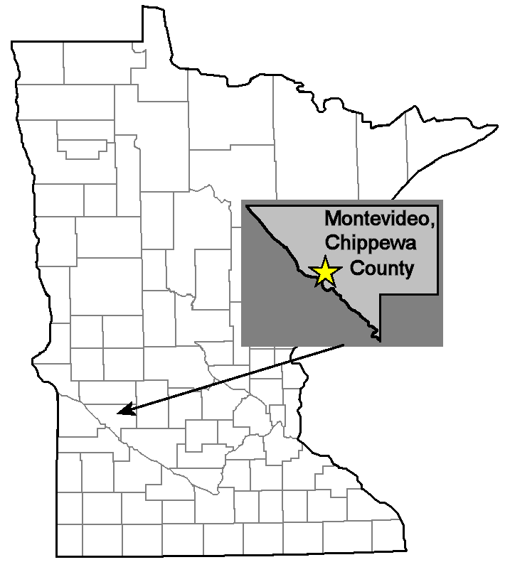 Montevideo Brick Minnesota Bricks