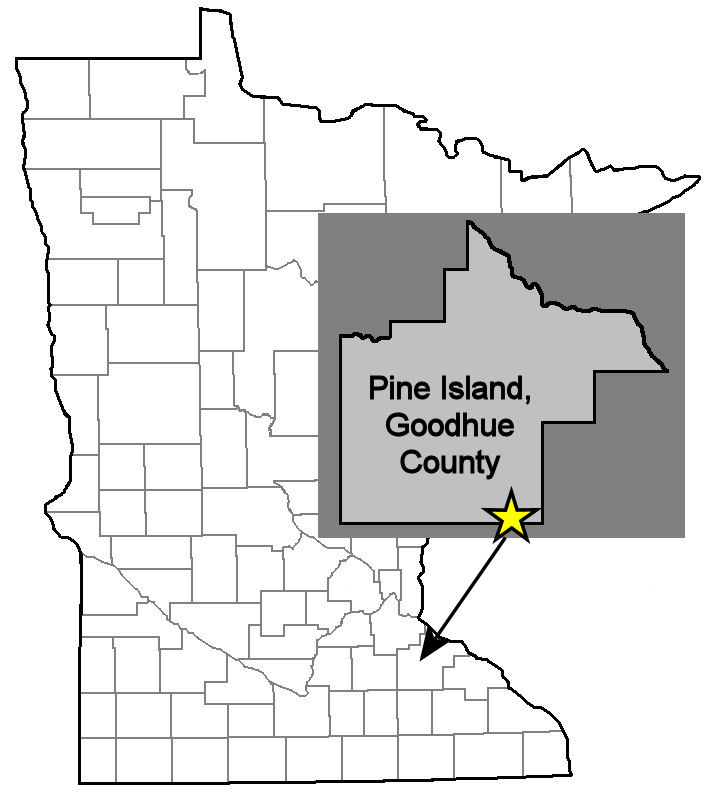 Pine Island Brick Minnesota Bricks