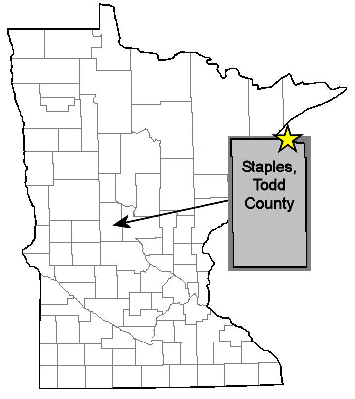 Staples Brick Minnesota Bricks