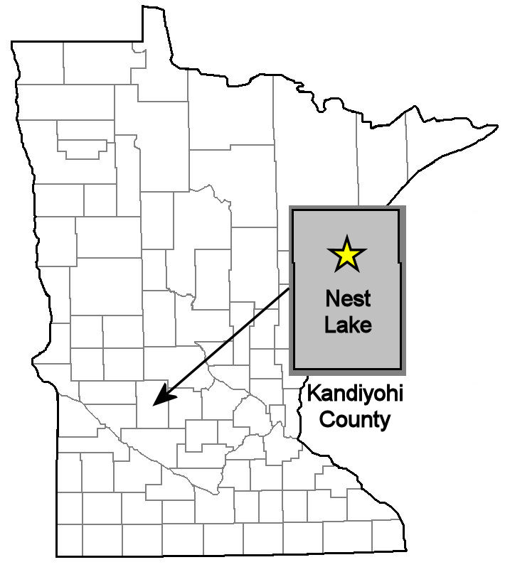 Nest Lake Reference Map Minnesota Bricks