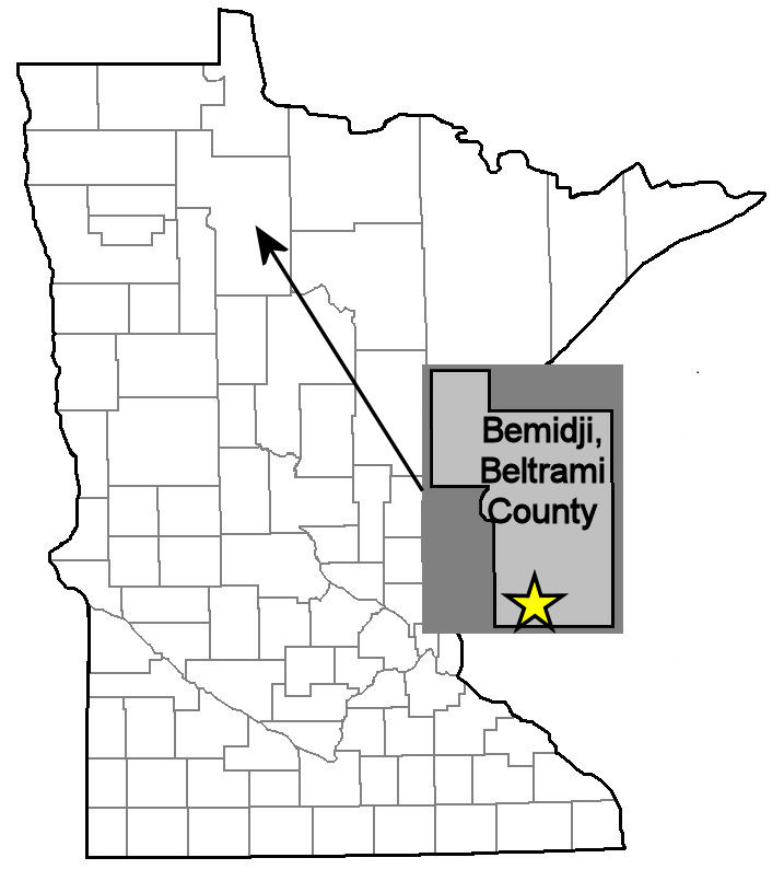 Bemidji Brick Minnesota Bricks