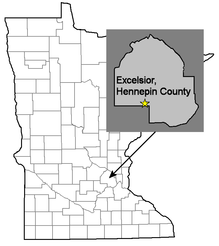 Excelsior Brick Minnesota Bricks